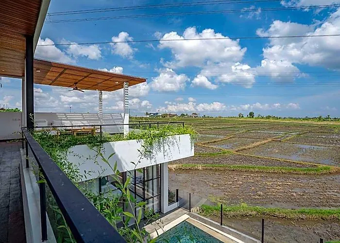 Kami Kaba-Kaba
